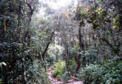 ©Patricia - Tous Droits réservés