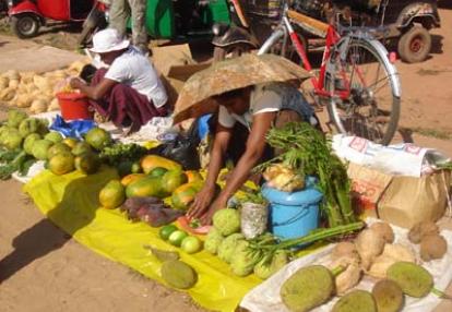 ©Patricia - Tous Droits réservés