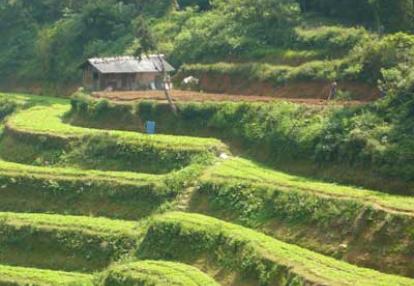 ©Béatrice R. - Tous Droits réservés ©Béatrice R. - Tous Droits réservés