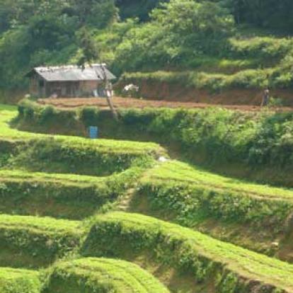 ©Béatrice R. - Tous Droits réservés