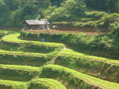 ©Béatrice R. - Tous Droits réservés