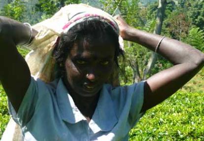 ©Béatrice R. - Tous Droits réservés