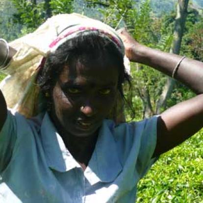 ©Béatrice R. - Tous Droits réservés