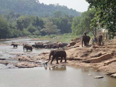 ©Marie-Noëlle C. - Tous Droits réservés