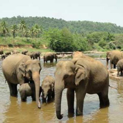 ©Franck et Béa V. - Tous Droits réservés