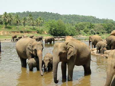 ©Franck et Béa V. - Tous Droits réservés