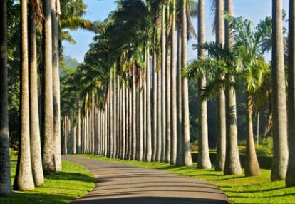 Séjour au Sri Lanka de Jacques D.