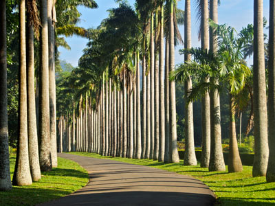 Séjour au Sri Lanka de Jacques D.