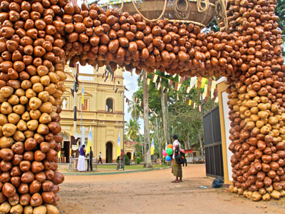 Séjour au Sri Lanka de Jacques D.