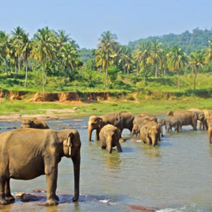 Séjour au Sri Lanka de Jacques D.