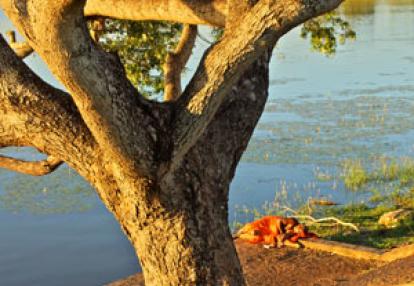 Séjour au Sri Lanka de Jacques D.