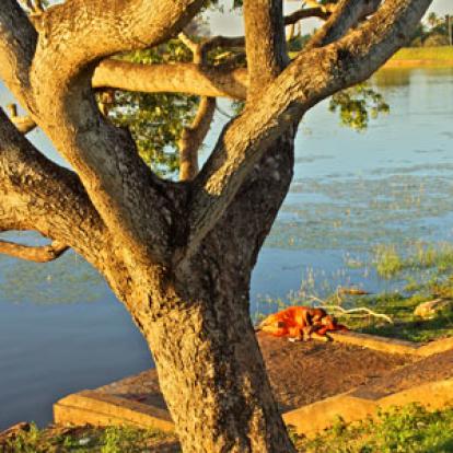 Séjour au Sri Lanka de Jacques D.