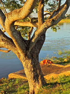 Séjour au Sri Lanka de Jacques D.
