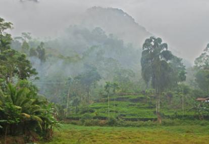 Séjour au Sri Lanka de Jacques D.