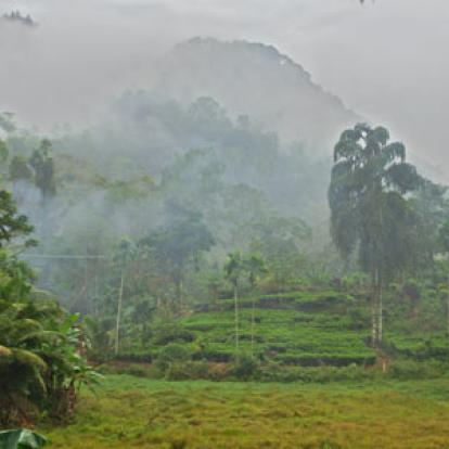 Séjour au Sri Lanka de Jacques D.