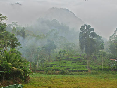 Séjour au Sri Lanka de Jacques D.