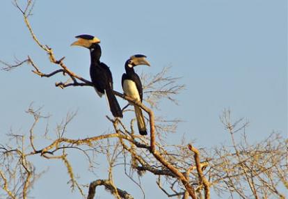 Séjour au Sri Lanka de Jacques D.