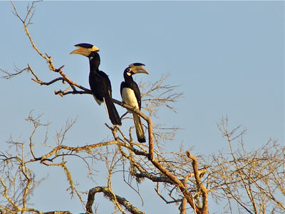 Séjour au Sri Lanka de Jacques D.