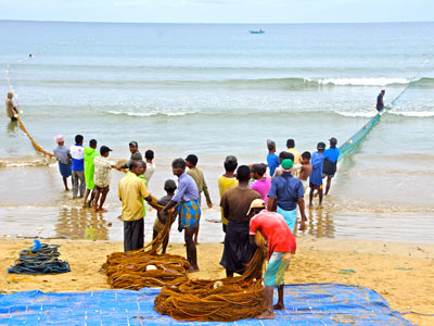 Séjour au Sri Lanka de Jacques D.