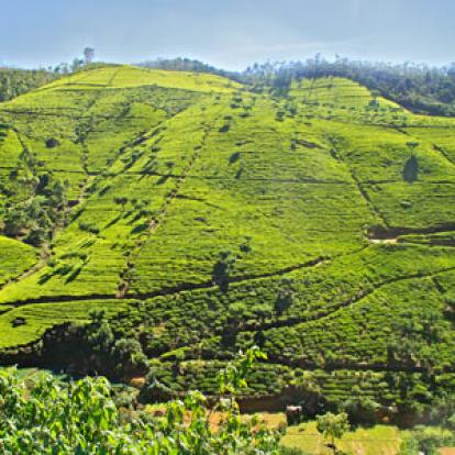 Séjour au Sri Lanka de Jacques D.