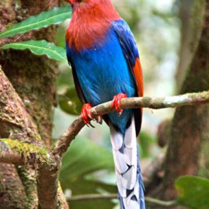 Séjour au Sri Lanka de Jacques D.