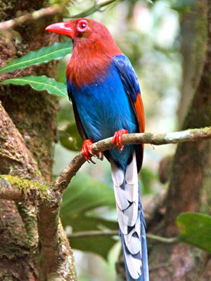 Séjour au Sri Lanka de Jacques D.