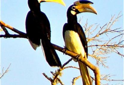 Séjour au Sri Lanka de Jacques D.