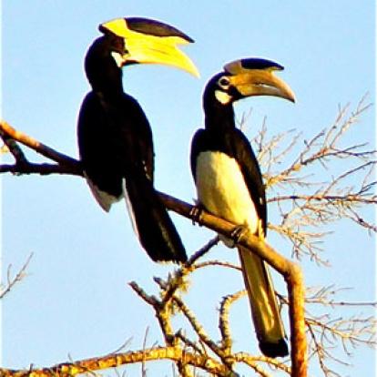 Séjour au Sri Lanka de Jacques D.