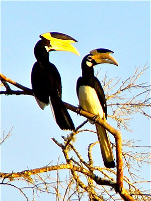 Séjour au Sri Lanka de Jacques D.
