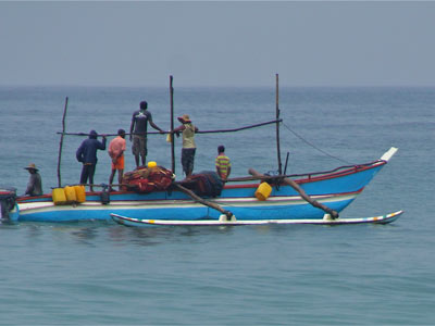Séjour au Sri Lanka de Jacques D.