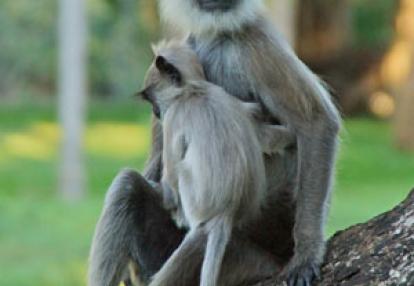 Séjour au Sri Lanka de Jacques D.