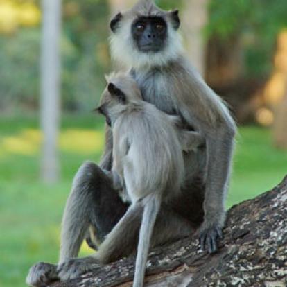 Séjour au Sri Lanka de Jacques D.