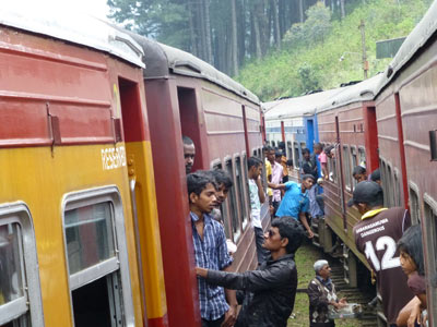Voyage au Sri Lanka de Sylviane M.