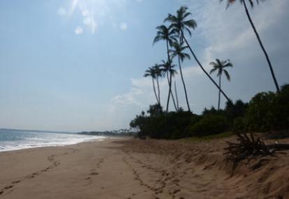 Plage de Tangalle