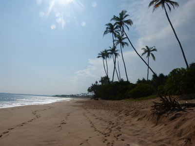 ©Bernard C. - Tous Droits réservés Plage de Tangalle