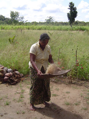 Voyage au Sri lanka de Philippe B.