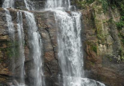 Voyage au Sri lanka de Sandrine G.