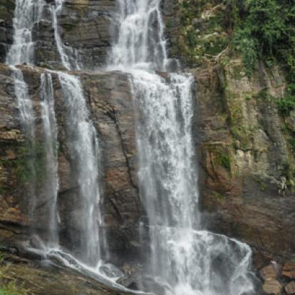 Voyage au Sri lanka de Sandrine G.