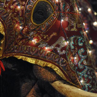 Voyage au Sri lanka de Sandrine G.