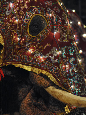 Voyage au Sri lanka de Sandrine G.