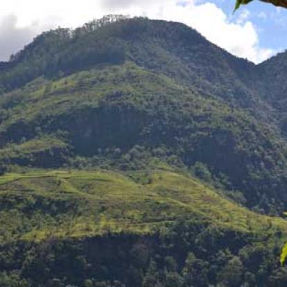 Voyage au Sri lanka de Pierre K.