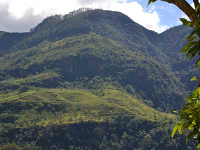 Voyage au Sri lanka de Pierre K.