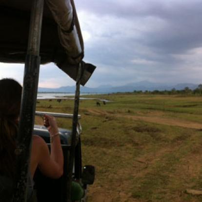 ©Anthony P. - Tous Droits Réservés Voyage au Sri lanka d'Anthony