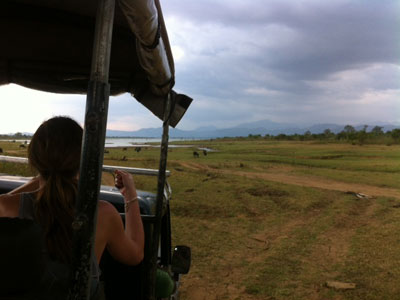 ©Anthony P. - Tous Droits réservés Voyage au Sri lanka d'Anthony