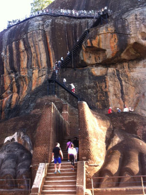 ©Anthony P. - Tous Droits réservés Voyage au Sri lanka d'Anthony