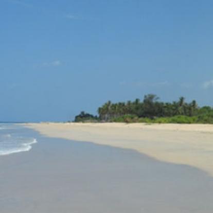 Voyage au Sri lanka de Sandrine