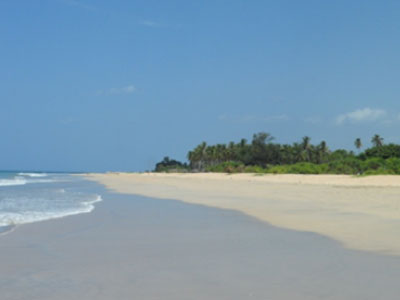 Voyage au Sri lanka de Sandrine