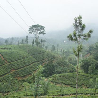 Voyage au Sri lanka de Michaela et Bruno