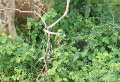 Voyage au Sri lanka de Michaela et Bruno