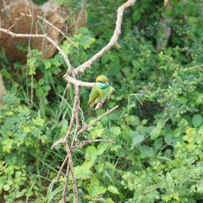 Voyage au Sri lanka de Michaela et Bruno